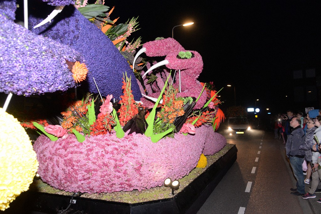 ../Images/Verlicht bloemencorso 2018 061.jpg